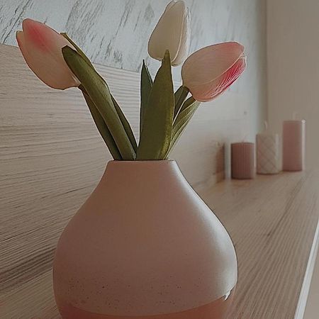 Sunray Apartman Pozsarevác Kültér fotó